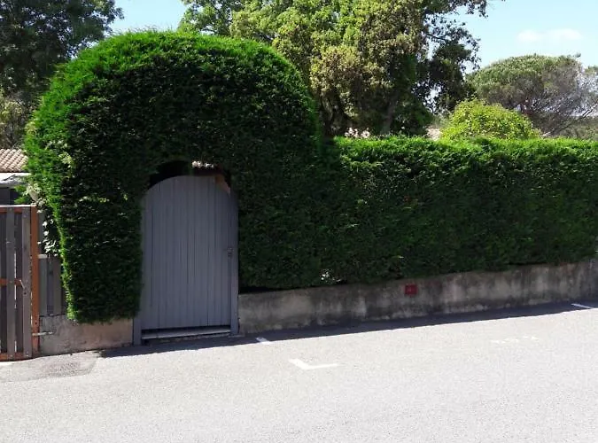 Joli Mazet St Tropez 度假居 盖辛